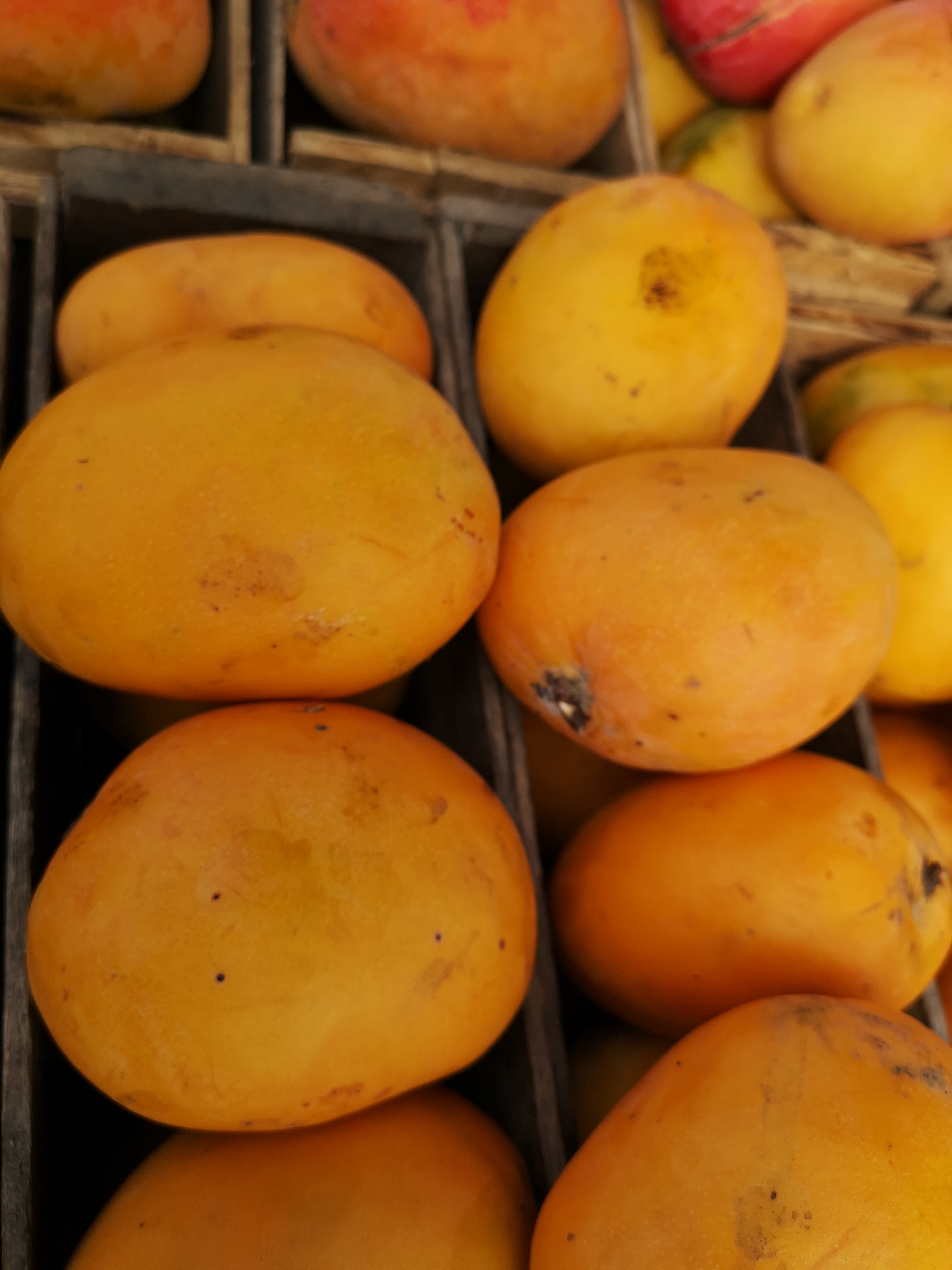 Temporada de mangos Conoce las cuatro variedades más vendidas