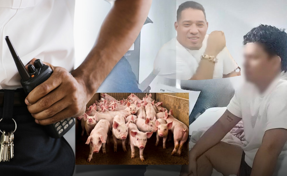 La fachada empresarial que levantó Azhael, hijo del narcotraficante ...